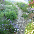 front garden path